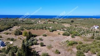 Οικόπεδο 4.027 τ.μ. πρός πώληση, Μεσσηνία, Κυπαρισσία-thumb-11