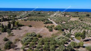 Οικόπεδο 4.027 τ.μ. πρός πώληση, Μεσσηνία, Κυπαρισσία-thumb-1