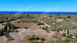 Οικόπεδο 4.027 τ.μ. πρός πώληση, Μεσσηνία, Κυπαρισσία-thumb-7