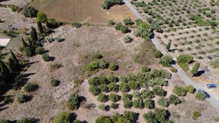 Οικόπεδο 4.027 τ.μ. πρός πώληση, Μεσσηνία, Κυπαρισσία-thumb-6
