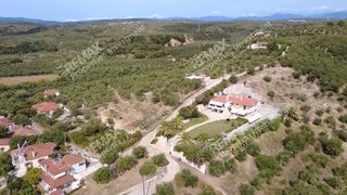 Βίλλα 450 τ.μ. για πώληση, Μεσσηνία, Μεσσήνη-thumb-5