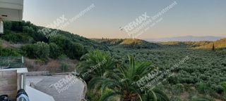 Βίλλα 450 τ.μ. για πώληση, Μεσσηνία, Μεσσήνη-thumb-23