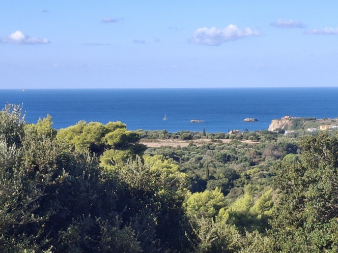 Οικόπεδο 1.086 τ.μ. πρός πώληση, Ν. Κεφαλονιάς, Κεφαλονιά