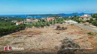 Αγροτεμάχια 4.146 τ.μ. για πώληση, Μεσσηνία, Πύλος-thumb-14