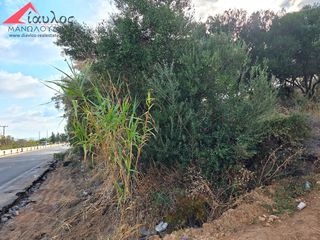 Οικόπεδο 4.500 τ.μ. για πώληση, Ν. Ρεθύμνου, Ρέθυμνο-thumb-6