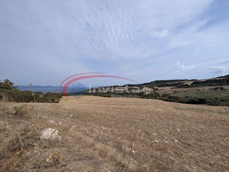 Αγροτεμάχια 8.000 τ.μ. προς πώληση