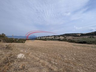 Αγροτεμάχια 8.000 τ.μ. για πώληση
