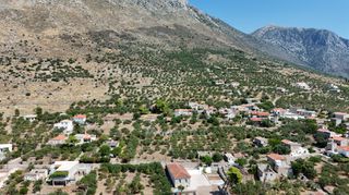Οικόπεδο 1.558 τ.μ. πρός πώληση, Μεσσηνία, Λεύκτρος-thumb-12