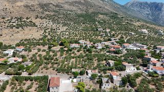 Οικόπεδο 1.558 τ.μ. πρός πώληση, Μεσσηνία, Λεύκτρος-thumb-11
