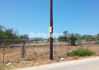 Αγροτεμάχια 8.473 τ.μ. για πώληση