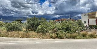 Οικόπεδο 4.302 τ.μ. για ενοικίαση, Αχαΐα, Ρίο-thumb-13