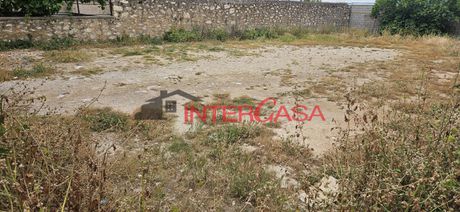 Land plot 400 sqm for rent