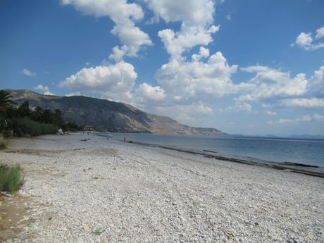 Οικόπεδο 1.900 τ.μ. πρός πώληση
