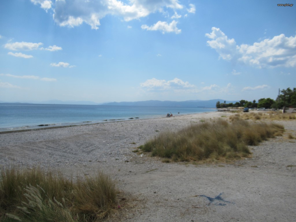 Οικόπεδο 1.900 τ.μ. προς πώληση, Κινέτα Μεγάρων