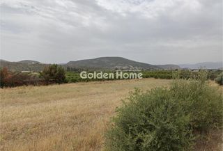 Οικόπεδο 26.637 τ.μ. για πώληση