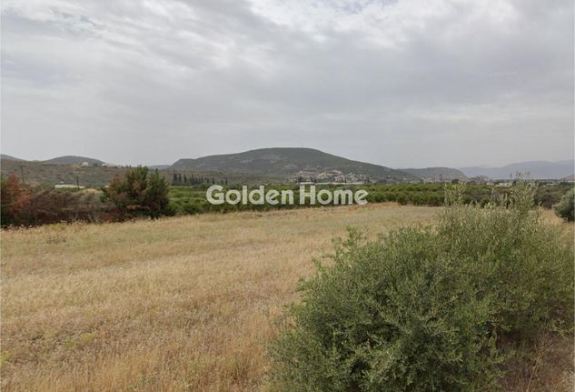Οικόπεδο 26.637 τ.μ. για πώληση, Αργολίδα, Ναύπλιο