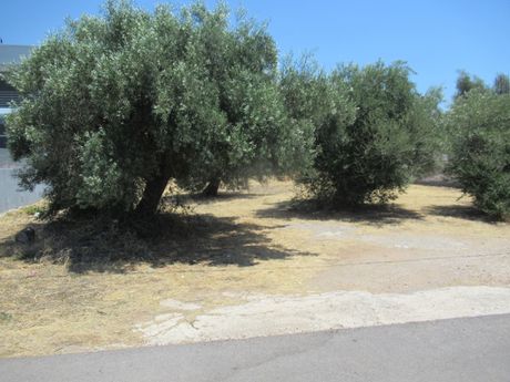 Οικόπεδο 600 τ.μ. πρός πώληση