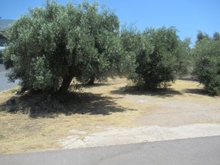 Οικόπεδο 600 τ.μ. για πώληση