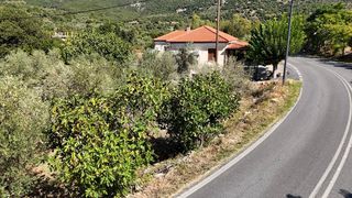 Οικόπεδο 2.048 τ.μ. για πώληση, Αρκαδία, Τρόπαια-thumb-23
