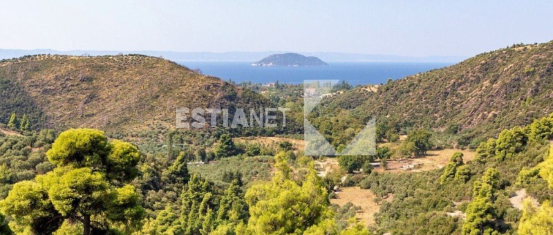 Οικόπεδο 300 τ.μ. πρός πώληση, Χαλκιδική, Σιθωνία