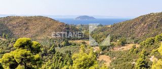 Land plot 300 sqm for sale
