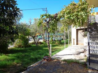 Οικόπεδο 4.350 τ.μ. προς πώληση, Ζάκυνθος, Αλυκές-thumb-3