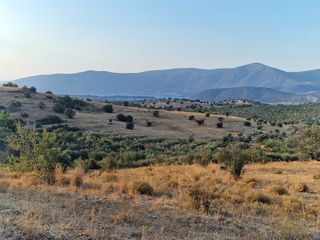 Οικόπεδο 11.872 τ.μ. για πώληση, Αργολίδα, Κρανίδι-thumb-3