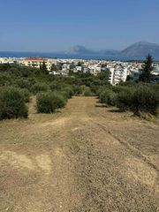 Οικόπεδο 12.073 τ.μ. για πώληση, Αχαΐα, Πάτρα-thumb-4