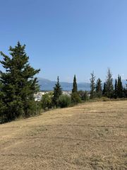 Οικόπεδο 12.073 τ.μ. για πώληση, Αχαΐα, Πάτρα-thumb-7