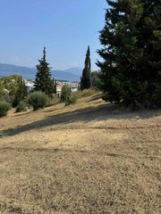 Οικόπεδο 12.073 τ.μ. για πώληση, Αχαΐα, Πάτρα-thumb-10