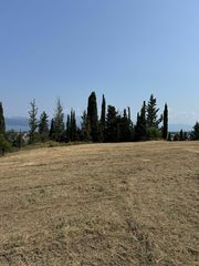 Οικόπεδο 12.073 τ.μ. για πώληση, Αχαΐα, Πάτρα-thumb-11