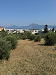Οικόπεδο 12.073 τ.μ. για πώληση, Αχαΐα, Πάτρα-thumb-13