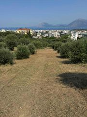 Οικόπεδο 12.073 τ.μ. για πώληση, Αχαΐα, Πάτρα-thumb-16