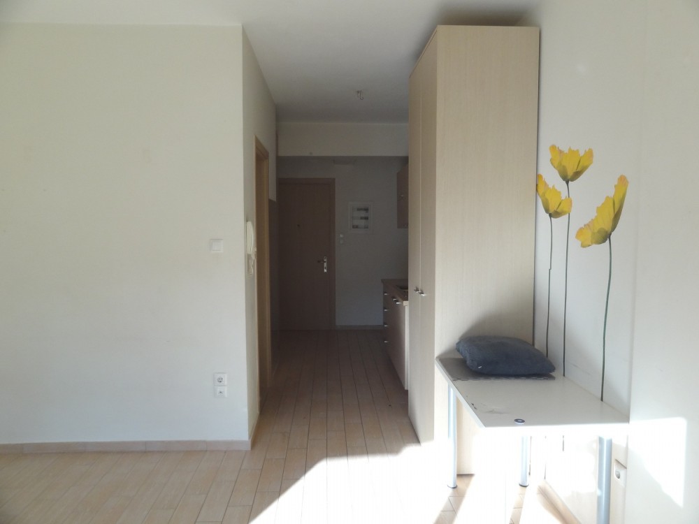 Studio / γκαρσονιέρα 32 τ.μ. πρός ενοικίαση, Ν. Ιωαννίνων, Ιωάννινα