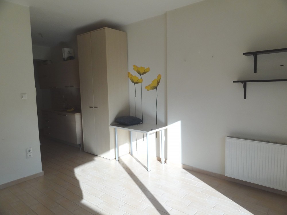 Studio / γκαρσονιέρα 32 τ.μ. πρός ενοικίαση, Ν. Ιωαννίνων, Ιωάννινα
