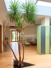 Detached home 150 sqm for sale