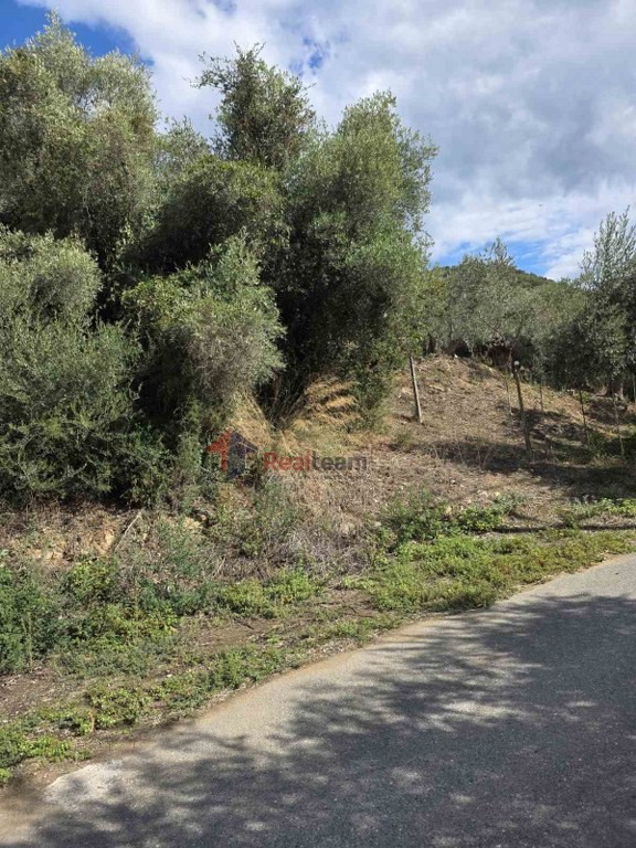 Οικόπεδο 320 τ.μ. πρός πώληση, Μαγνησία, Πτελεός