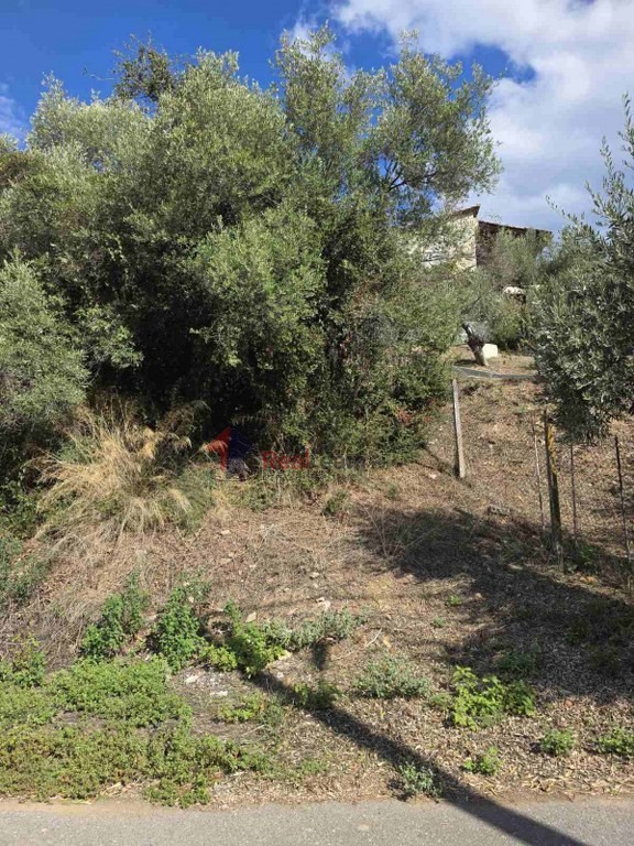 Οικόπεδο 320 τ.μ. πρός πώληση, Μαγνησία, Πτελεός