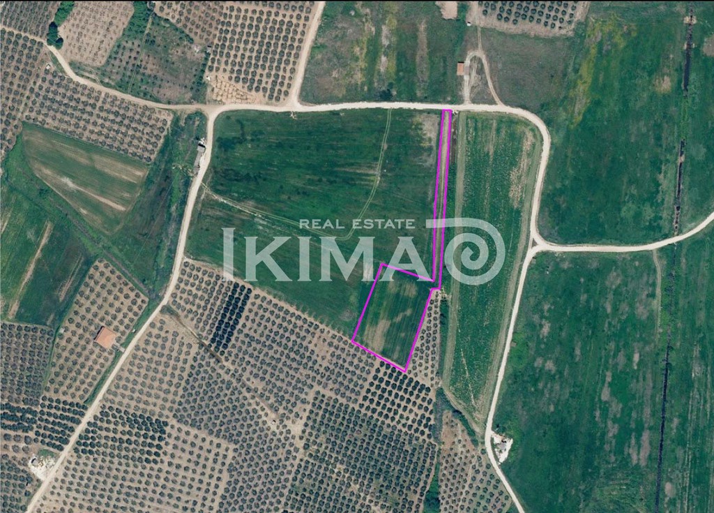 Αγροτεμάχια 5.420 τ.μ. πρός πώληση, Χαλκιδική, Πολύγυρος
