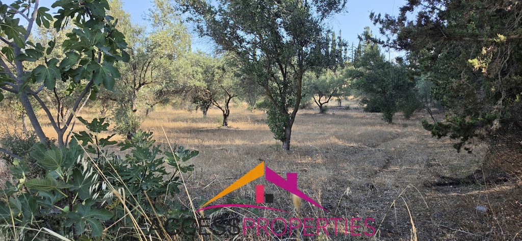 Αγροτεμάχια 7.500,07 τ.μ. πρός πώληση, Αττική - Υπόλοιπο, Ραφήνα