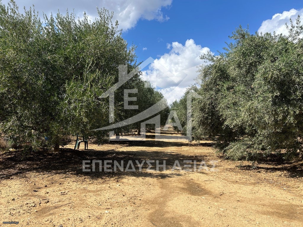 Οικόπεδο 1.548 τ.μ. προς πώληση, Αγία Μαρίνα Ηρακλείου
