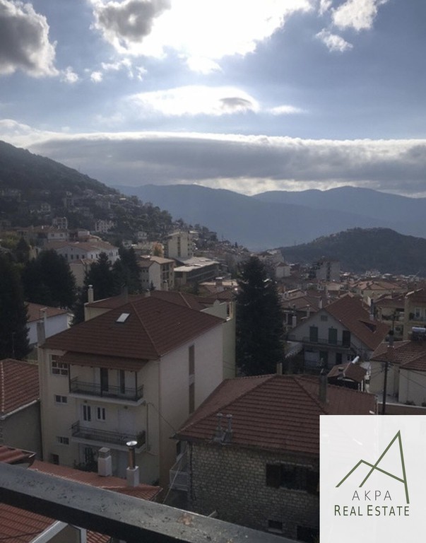 Διαμέρισμα 51 τ.μ. πρός πώληση, Ευρυτανία, Καρπενήσι