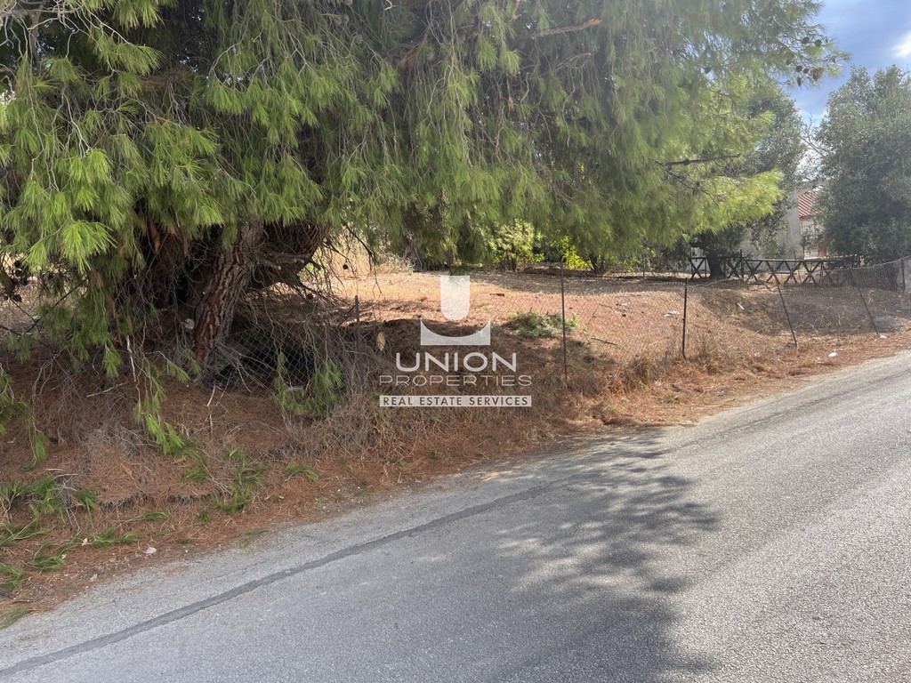 Οικόπεδο 238 τ.μ. πρός πώληση, Αθήνα - Ανατολικά Προάστια, Σπάτα