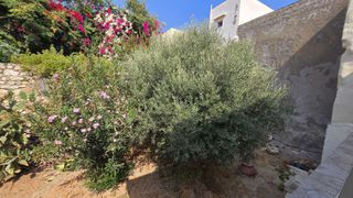 Διαμέρισμα 90 τ.μ. για πώληση, Ν. Ρεθύμνου, Ρέθυμνο-thumb-13