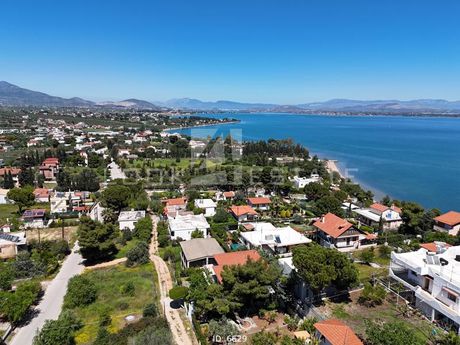 Αγροτεμάχια 4.000 τ.μ. προς πώληση