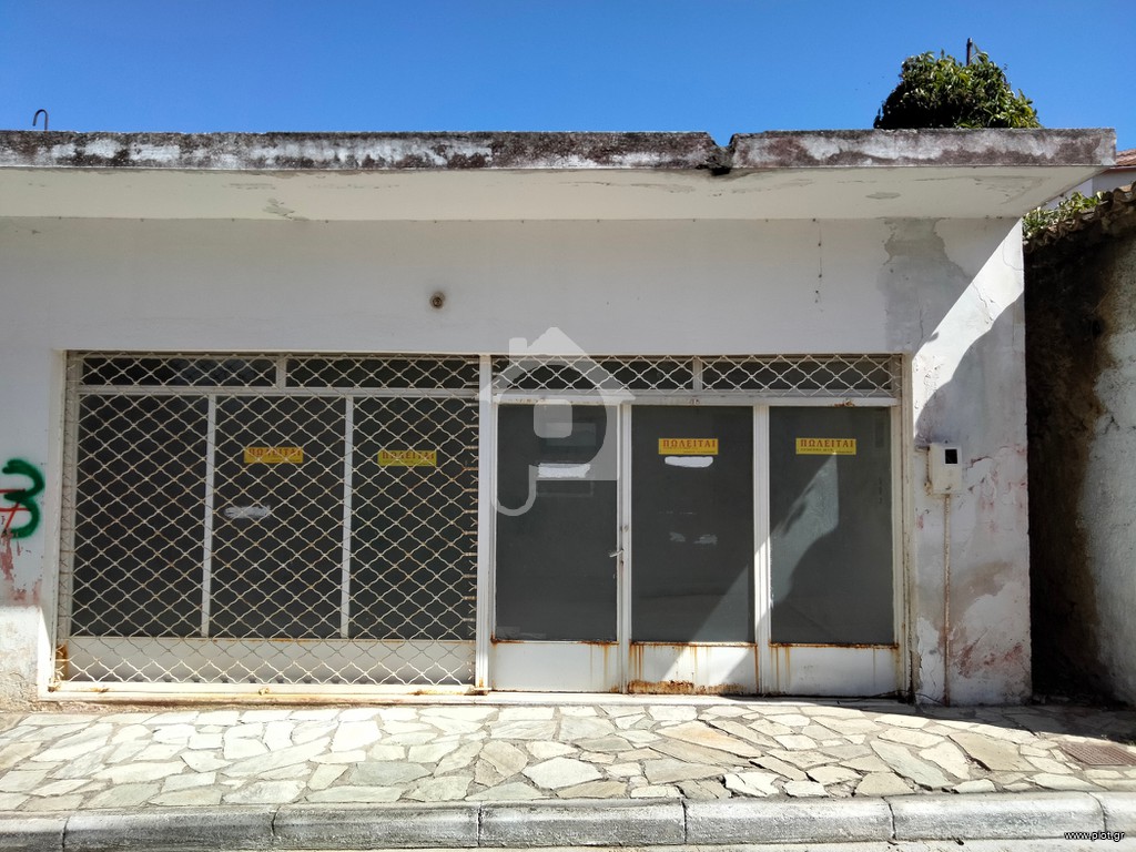 Επιχειρηματικό κτίριο 60 τ.μ. πρός πώληση, Μαγνησία, Σούρπη