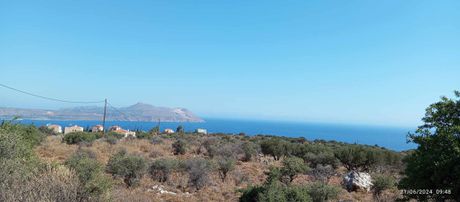Αγροτεμάχια 10.000 τ.μ. προς πώληση
