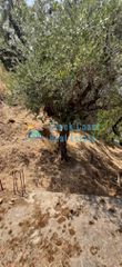 Οικόπεδο 275 τ.μ. για πώληση, Ζάκυνθος, Περιοχη Χώρας-thumb-26