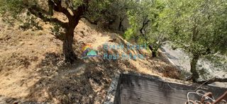 Οικόπεδο 275 τ.μ. για πώληση, Ζάκυνθος, Περιοχη Χώρας-thumb-23