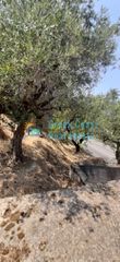 Οικόπεδο 275 τ.μ. για πώληση, Ζάκυνθος, Περιοχη Χώρας-thumb-27